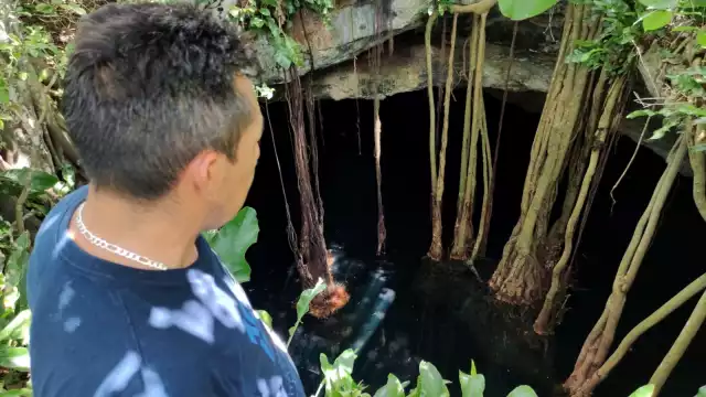 Los organoclorados y sus metabolitos causan enfermedades y otras afectaciones al ser humano