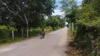 El Ayuntamiento de Tizimín toma medidas extremas ante el incremento de los casos de dengue