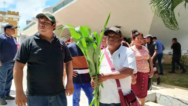 Campesinos de Campeche piden la intervención del Gobierno para ayudarlos con las plagas