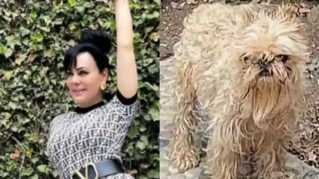 El perrito de Maribel guardia fue criticado por su aspecto en redes sociales
