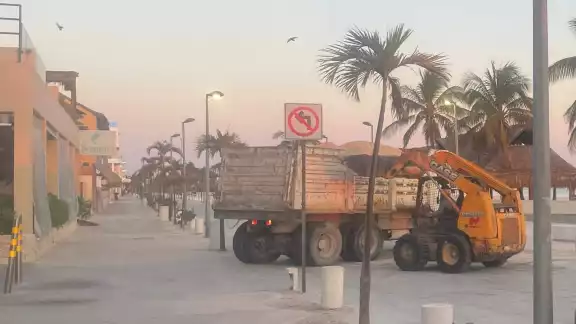 Ambientalistas se manifestaron molestos “pues los camiones pueden dañar los nidos de las tortugas”, dijeron Ambientalistas se manifestaron molestos “pues los camiones pueden dañar los nidos de las tortugas”, dijeron