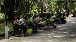 La llegada del Frente Frío No. 31 a Yucatán llegará a refrescar para dar inicio al mes de marzo