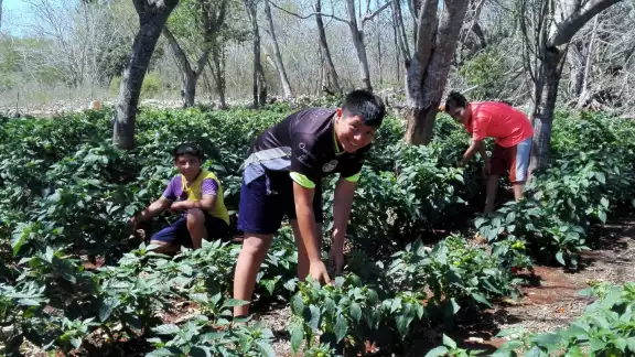 La familia Pool lleva varios años practicando esta actividad