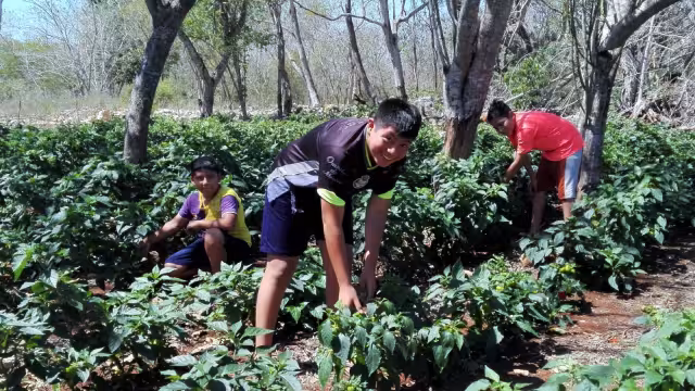 La familia Pool lleva varios años practicando esta actividad