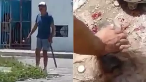 De ser detenido, el hombre pasaría cuatro años en prisión tal y como lo establece el Código Penal de Yucatán De ser detenido, el hombre pasaría cuatro años en prisión tal y como lo establece el Código Penal de Yucatán