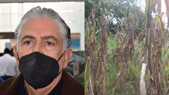 Aún se está en análisis para destinar recursos a agricultores que queden fuera del padrón, aseguró el Secretario de Desarrollo Agropecuario