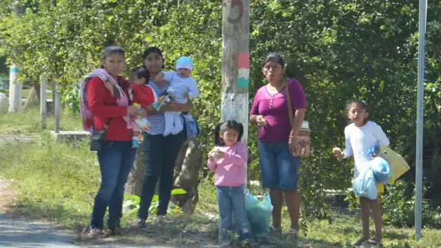 La tercera parte de los hogares mexicanos son encabezados por mujeres