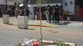 La imagen urbana ha decaído porque hay puros palos o plantas muertas que no riegan las autoridades