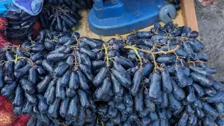 Fruta extraña en las calles de José María Morelos