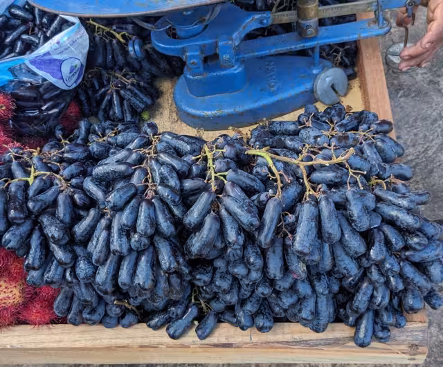 Fruta extraña en las calles de José María Morelos