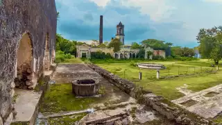 La toponimia Uayalceh es "Hay muchos venados”.