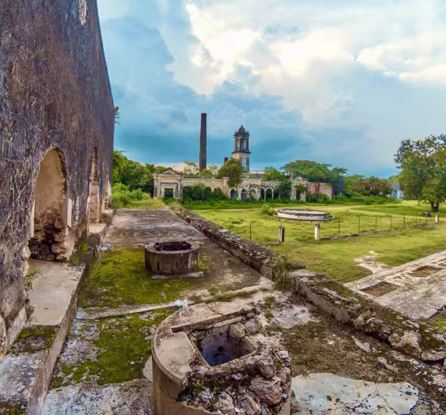 La toponimia Uayalceh es "Hay muchos venados”.