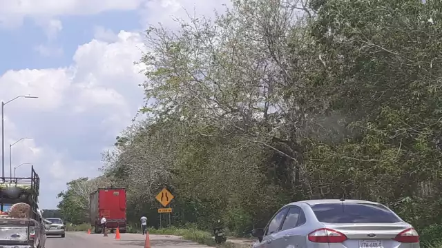 El lugar se mantiene asegurado por la FGE