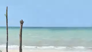 La funcionaria, incapaz de responder a cuestionamientos sobre la clausura en proyecto costero