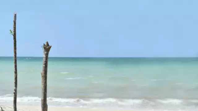 La funcionaria, incapaz de responder a cuestionamientos sobre la clausura en proyecto costero