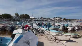Sólo unos cuantos pescadores se animaron a salir por la 
captura del molusco maya, sabiendo que, hasta el momento, el kilo se comercializa en 170 pesos.