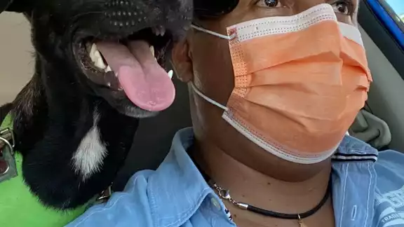 Invitan a adoptar mascotas de refugios temporales Invitan a adoptar mascotas de refugios temporales
