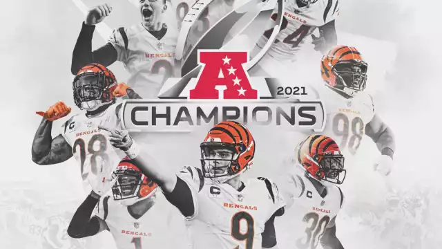 Los Bengals esperan su rival para el Superbowl