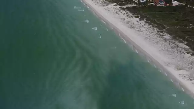 La pérdida de árboles es un grave problema en Yucatán