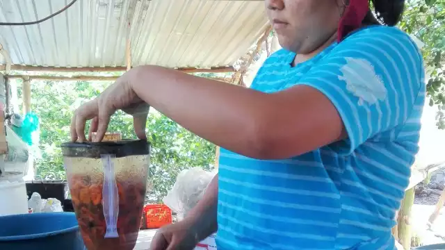 Comercializan el habanero como frutos frescos hasta los aderezos de diferentes sabores y presentaciones, que aprendieron a elaborar en Tampico, Tamaulipas
