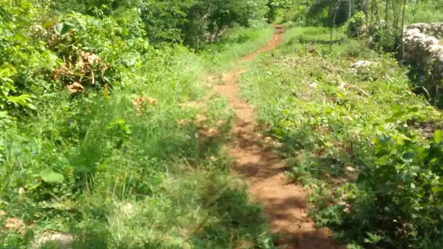 La hermana del hombre identificó el cuerpo por la ropa que aún portaba