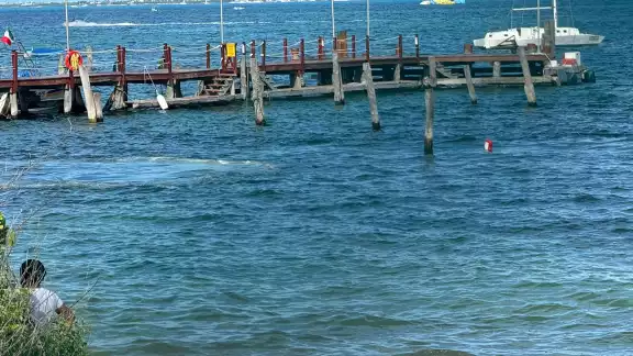 Quién encontró el cráneo lo observó flotando en el mar