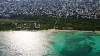 Ambientalistas piden que terrenos en la costa se consideren 'pulmón verde' de Playa del Carmen
