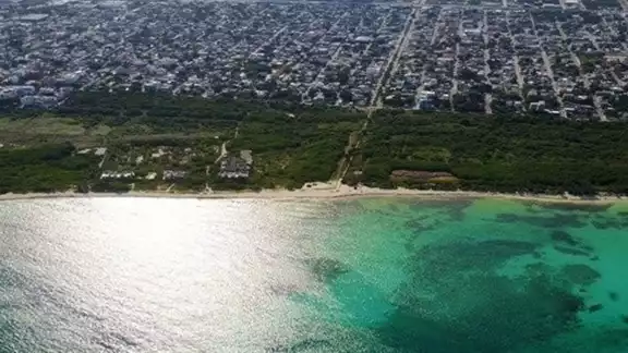 El área verde es parte de las mil 200 hectáreas que fueron regresadas a la Sedatu