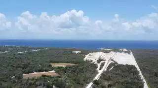 Calica demandará a los magistrados que le niegan el amparo ambiental en Playa del Carmen