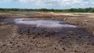 Consejo Comunitario de Kinchil acusa a la empresa Crío de arrojar excremento de aves cerca de la ciudad maya de Tzemé