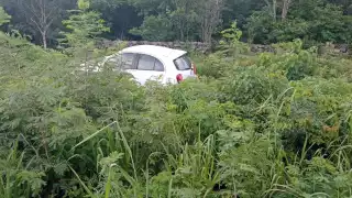Se desconoce de donde salió el toro en la carretera