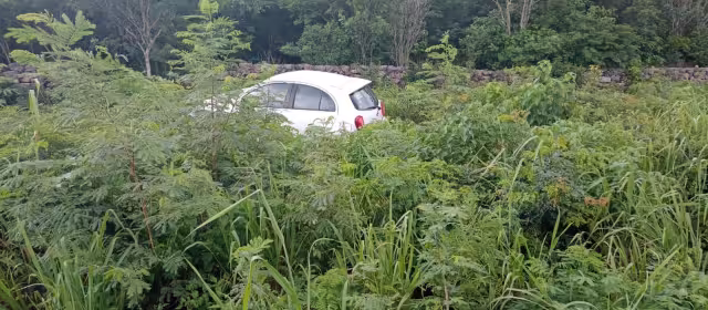 Se desconoce de donde salió el toro en la carretera