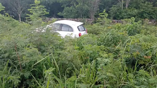 Se desconoce de donde salió el toro en la carretera