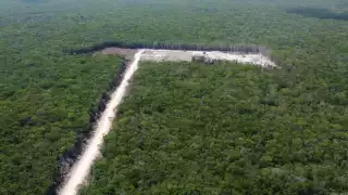 a obra del Tren Maya ha generado que se habiliten varios bancos de extracción de material pétreo a lo largo de su ruta en el Caribe Mexicano