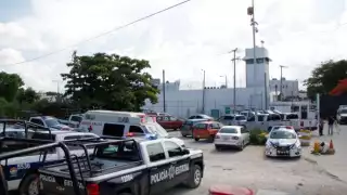 Vinculan a proceso a iraní que lanzó a un perro desde un octavo piso en Cancún