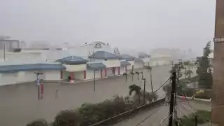 El Huracán Lisa provocó el desprendimiento de algunos techos de viviendas, la caída de varios árboles e inundaciones