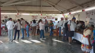 Inicia la XLIX Expoferia de Kantunilkín: vitrina estratégica para la producción local