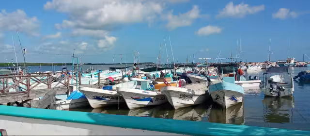 La mayoría de los hombres de mar evita realizar viajes que resultan incosteables, ya que gastan más en combustible y abastecimiento lo que desalienta la actividad