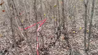 Pareja fue asesinada a golpes en Tepakán, Calkiní; Fiscalía activa protocolo de feminicidio