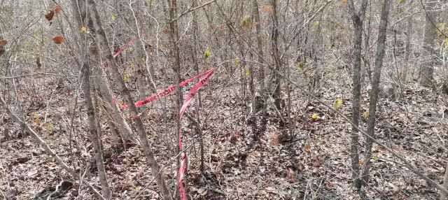 La pareja hallada sin vida en Tepakán, municipio de Calkiní, murió por golpes en cabeza y rostro.