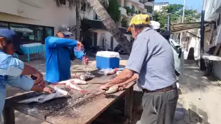 Frentes Fríos afectan la actividad pesquera en Quintana Roo