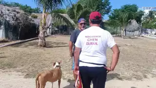 Chen Zubul en Playa del Carmen será nombrada con la Blue Flag