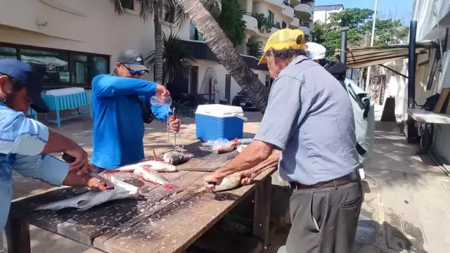 Tienen que aprovechar las pocas horas disponibles, para tener qué vender.