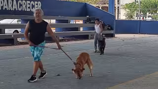 100 Mascotas vacunadas contra la rabia en Playa del Carmen