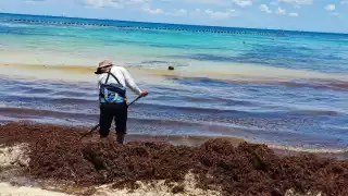 Recolectores de sargazo en Playa del Carmen aseguran que no cuentan con equipo para realizar su labor