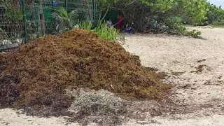 Las playas certificadas con Blue Flag son donde se realizan más tareas, como cernir la arena y levantar los residuos