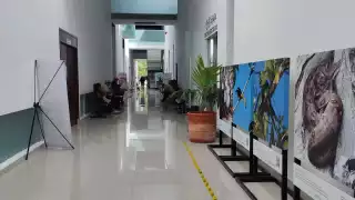 Debido a la falta de semáforos se registraron varios embotellamientos en las avenidas 115, CTM y Luis Donaldo Colosio