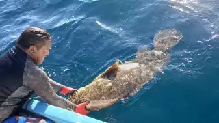 Por segunda ocasión en menos de una semana, Eduardo Díaz Yam y Joaquín Aguiñaga atraparon un enorme pez de la misma especie que el hallado el martes pasado