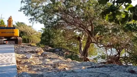 Fue la abogada y activista Ariadne Song Anguas quien interpuso la denuncia