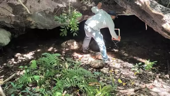 Si las cuevas dejaran de existir Cozumel también dejaría de existir Si las cuevas dejaran de existir Cozumel también dejaría de existir